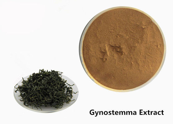 Chiny Food Grade Anti Tumor Herbal Gynostemma Extract Powder dostawca