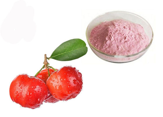 Chiny Witamina C 17% 25% Proszek z naturalnego ekstraktu z owoców aceroli wiśni dostawca