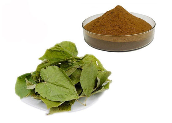 Chiny CAS 489-32-7 Horny Goat Weed Epimedium Herbal Extract Powder dostawca