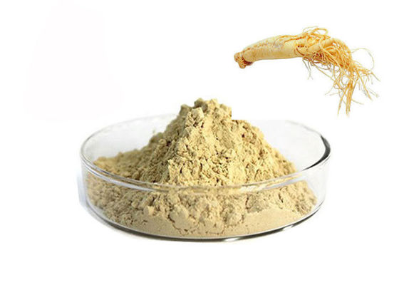 Chiny CAS 90045-38-8 80% ginsenozydów Czysty ziołowy proszek korzenia żeń-szenia dostawca