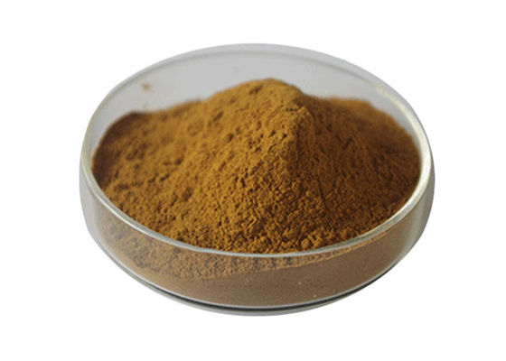 Organiczny proszek Ginkgo Biloba klasy USP dostawca