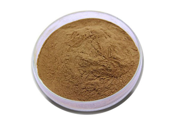 CAS 90045-36-6 Ekstrakt z organicznych suchych liści Ginkgo Biloba w proszku dostawca