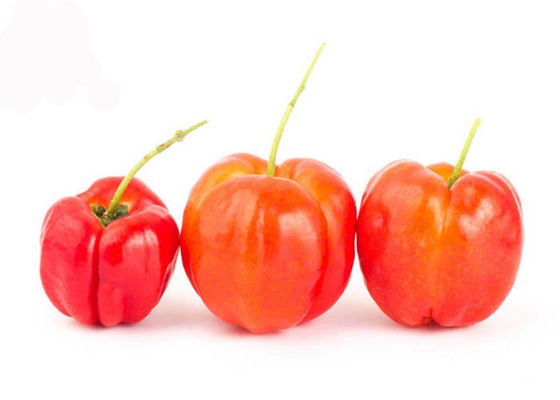 Witamina C 17% 25% Proszek z naturalnego ekstraktu z owoców aceroli wiśni dostawca