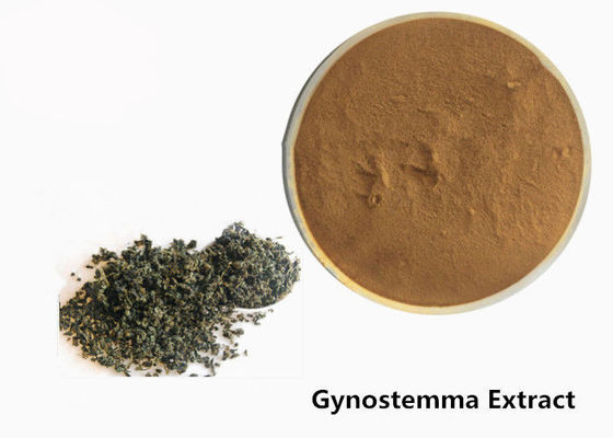 Food Grade Anti Tumor Herbal Gynostemma Extract Powder dostawca
