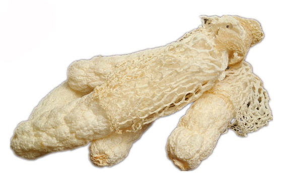 Organiczny ekstrakt z Dictyophora Indusiata dostawca