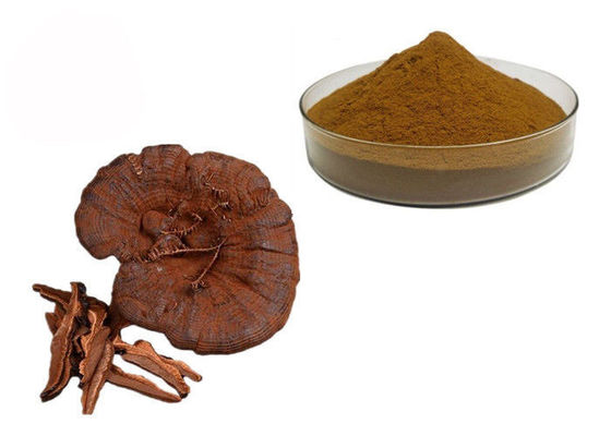 50% czystości Ganoderma Lucidum Reishi Wyciąg z grzybów w proszku dostawca