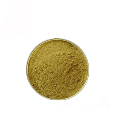Gymnema Sylvestre Leaf Anthocyjanin Extract Powder For Pharmaceutical dostawca