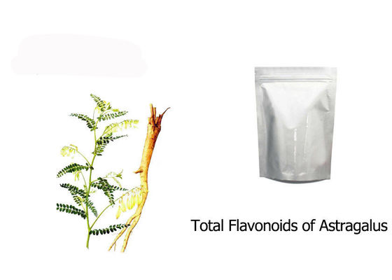 Suchy wyciąg z korzenia Astragalus Membranaceus dostawca