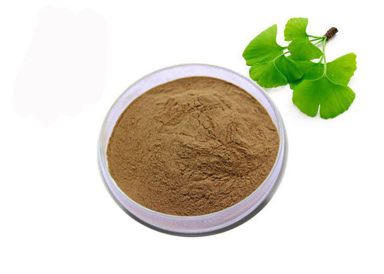 Organiczny proszek Ginkgo Biloba klasy USP dostawca