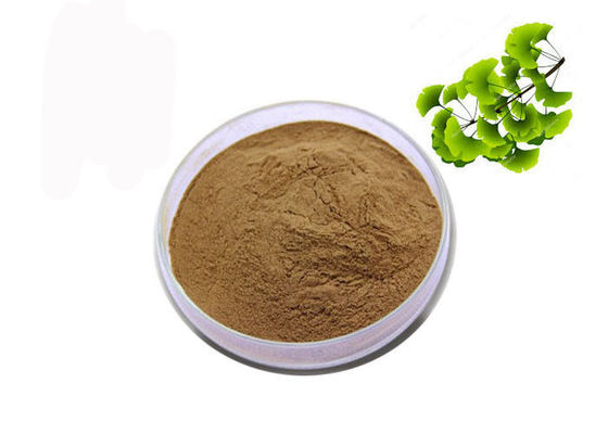 CAS 90045-36-6 Ekstrakt z organicznych suchych liści Ginkgo Biloba w proszku dostawca