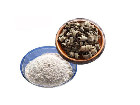 Magnolol Magnolia Bark Extract Powder dostawca