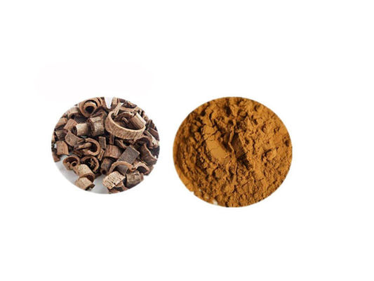 Magnolol Magnolia Bark Extract Powder dostawca
