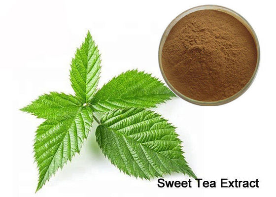 Tonify Kidney 80% Rubusoside Sweet Tea Naturalny słodzik w proszku dostawca